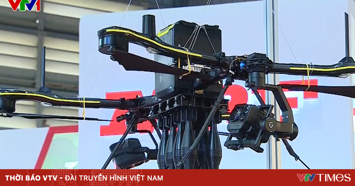 Việt Nam đứng trước "thời điểm vàng" cho ngành kinh tế tầm thấp