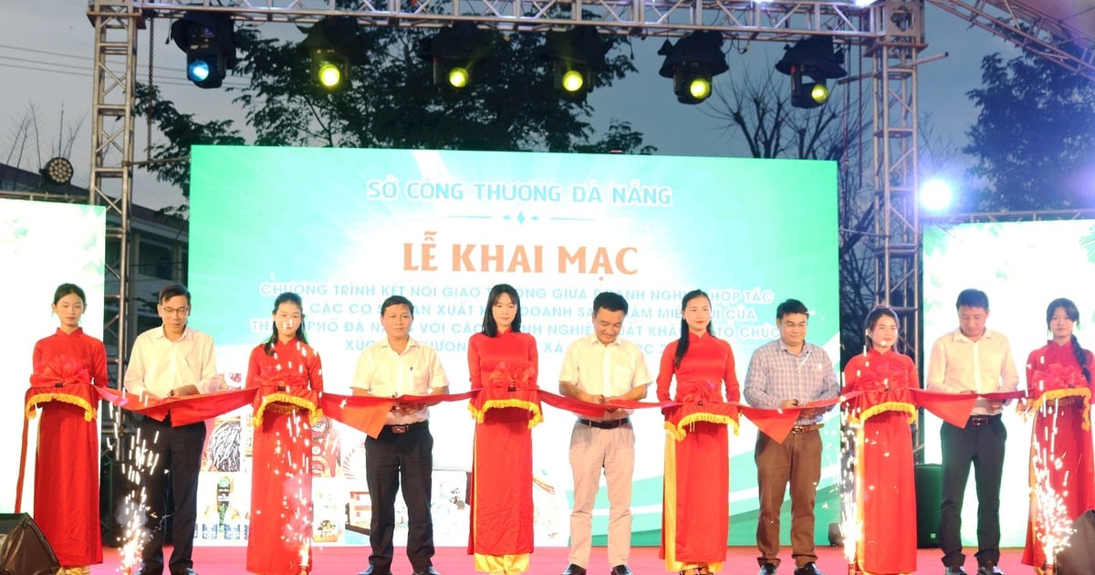 Kết nối giao thương và xúc tiến thương mại sản phẩm miền núi Đà Nẵng năm 2025