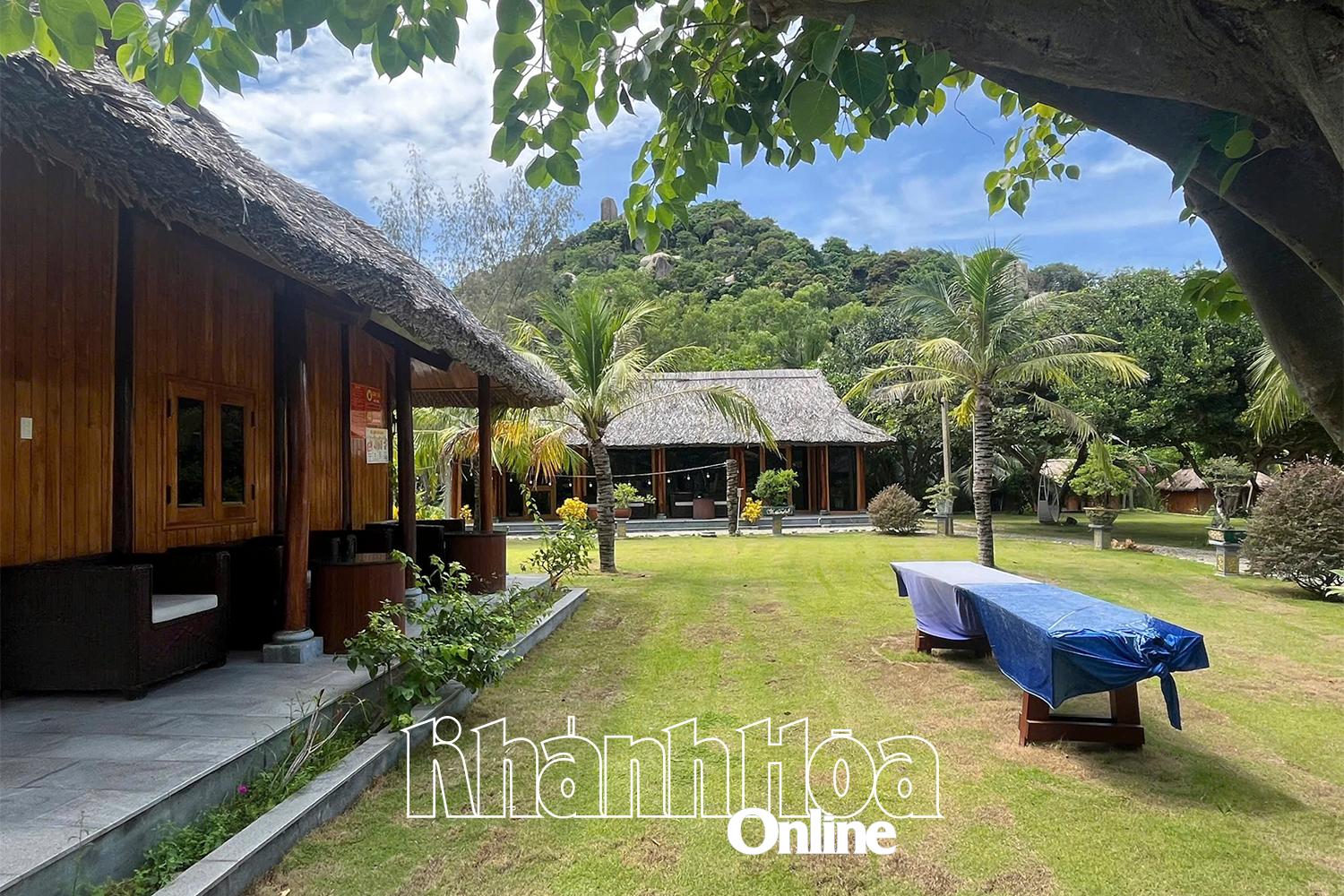 Деякі проекти будуються на землі, що використовується для вирощування багаторічних культур з порушенням законодавства.