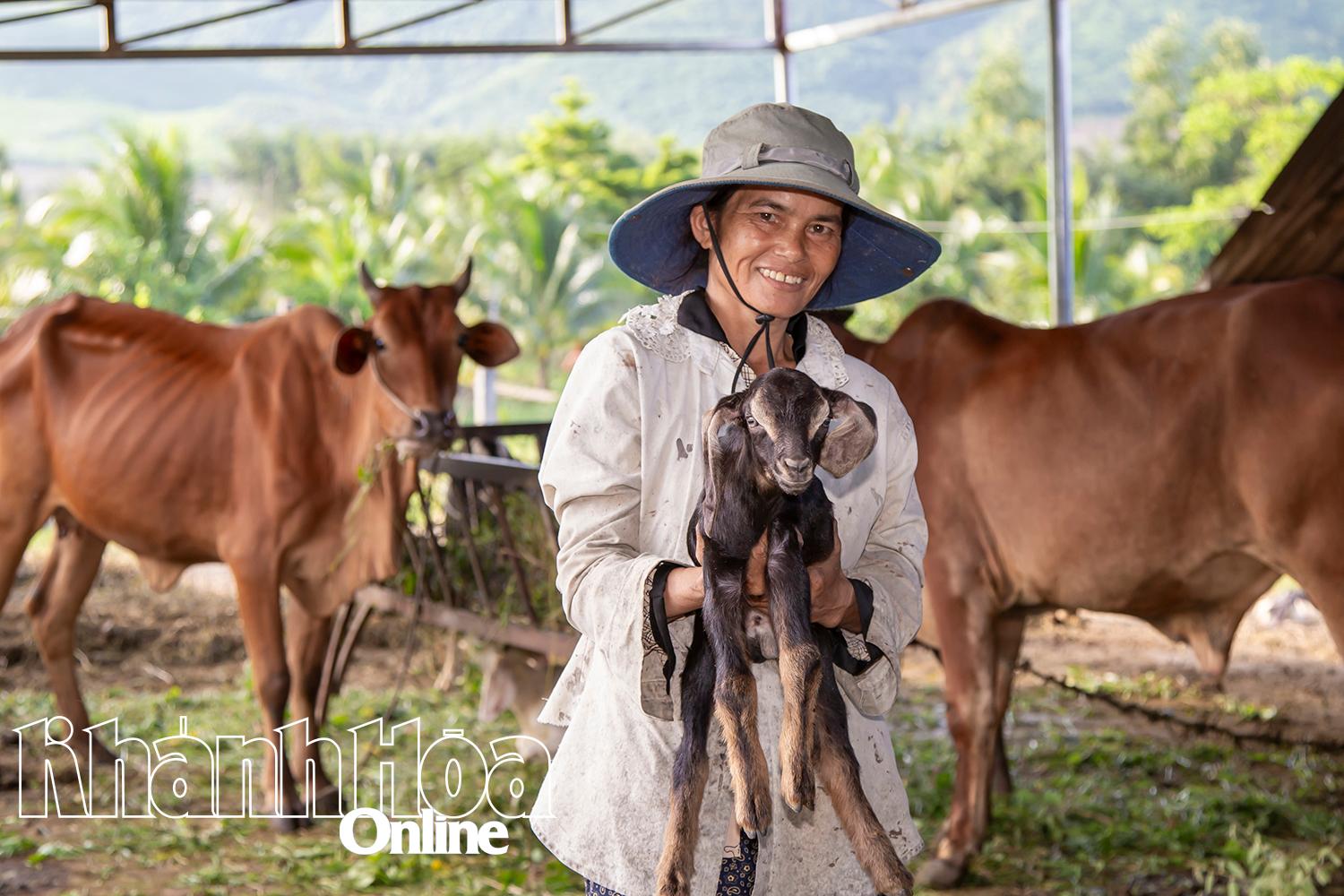 Boeren in de gemeente Nam Ninh Hoa houden geiten en koeien in combinatie met ecotoerisme.