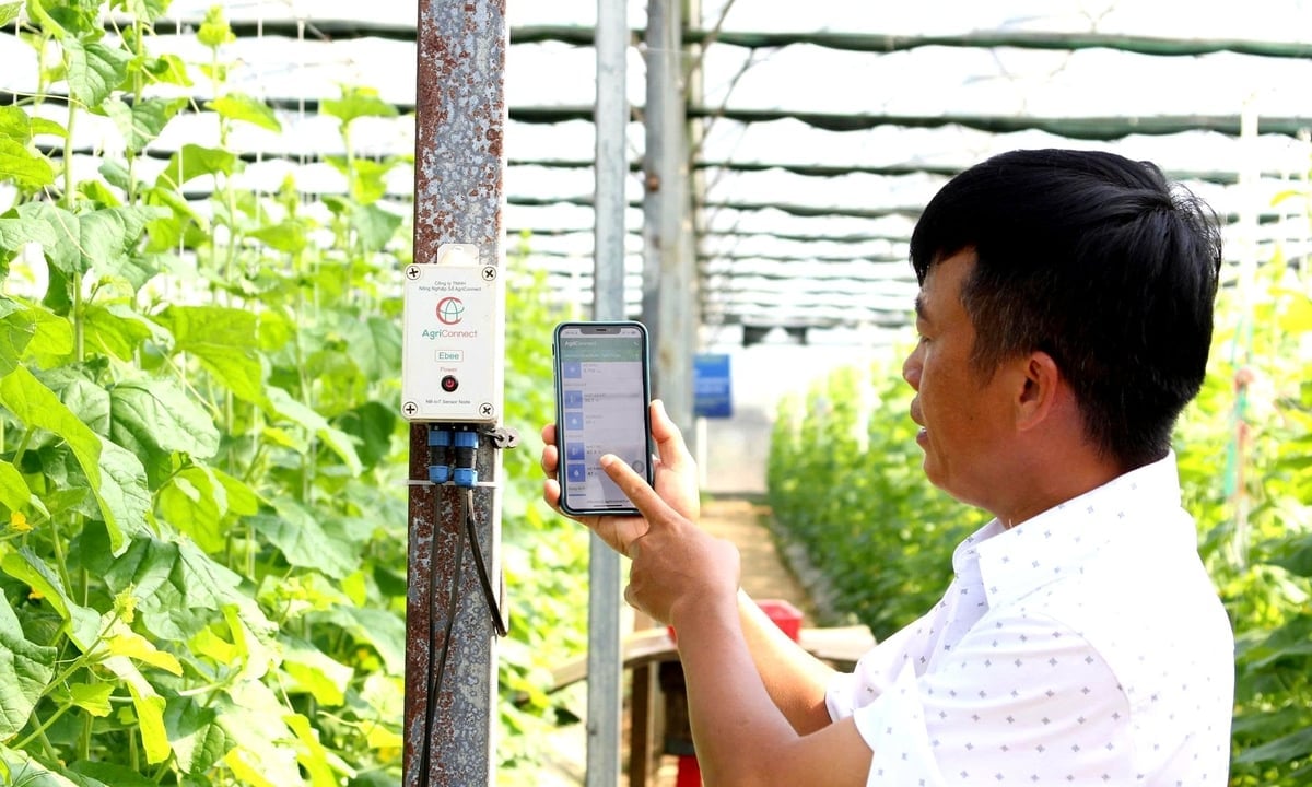 Ngành nông nghiệp Khánh Hòa đang đẩy mạnh ứng dụng khoa học công nghệ trong sản xuất. Ảnh: PC.