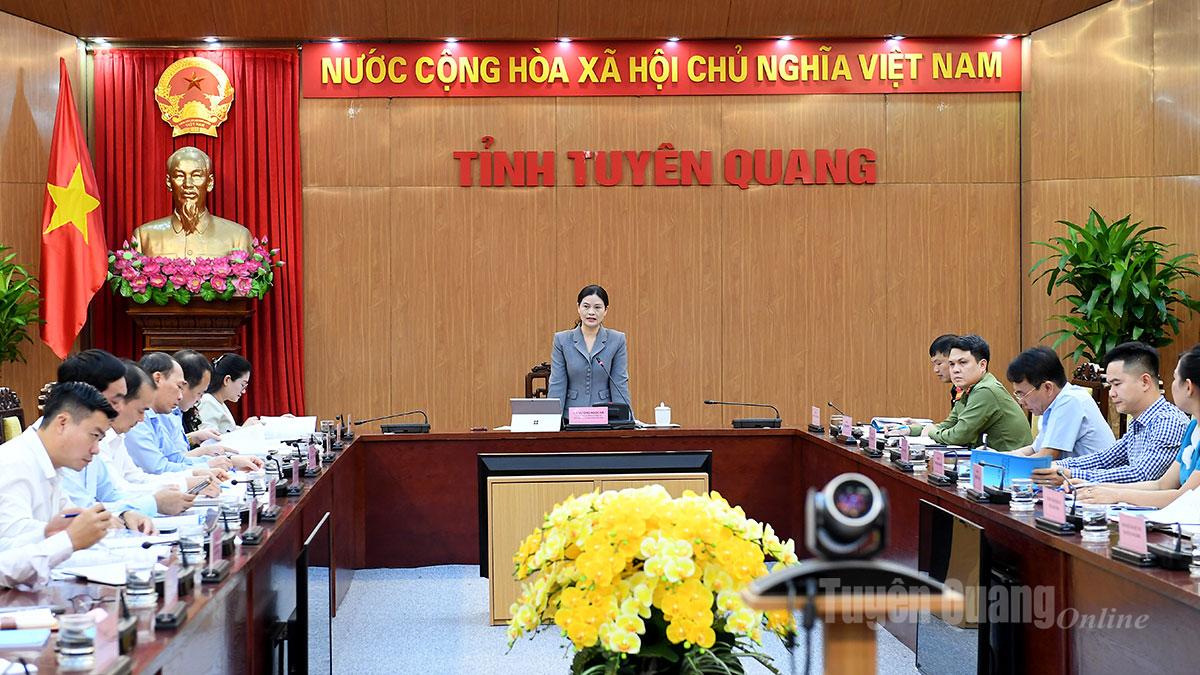 អនុប្រធានគណៈកម្មាធិការប្រជាជនខេត្ត លោក Vuong Ngoc Ha ដឹកនាំកិច្ចប្រជុំ។