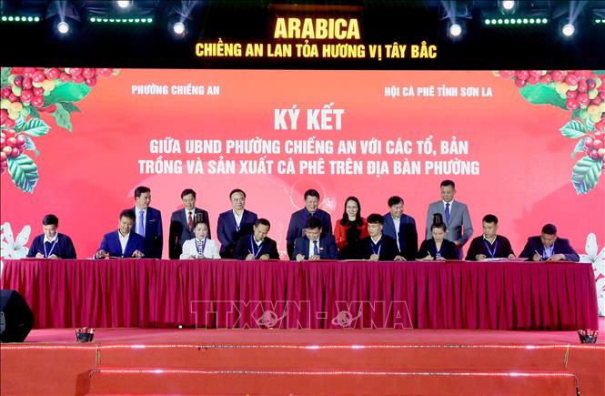 ຄຳບັນຍາຍຮູບ