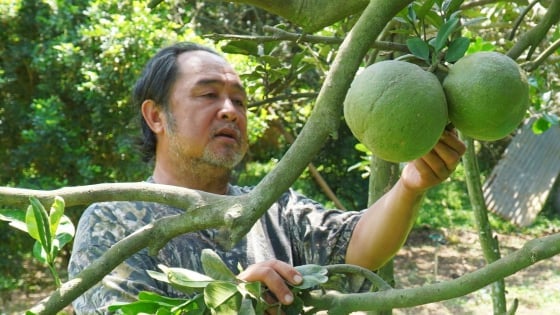 Thường Tân bàn giải pháp phát triển nông nghiệp bền vững