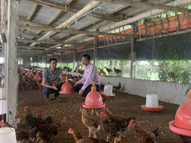 បង្កើនប្រសិទ្ធភាពនៃការគ្រប់គ្រង បម្រើប្រជាជនឱ្យកាន់តែប្រសើរឡើង