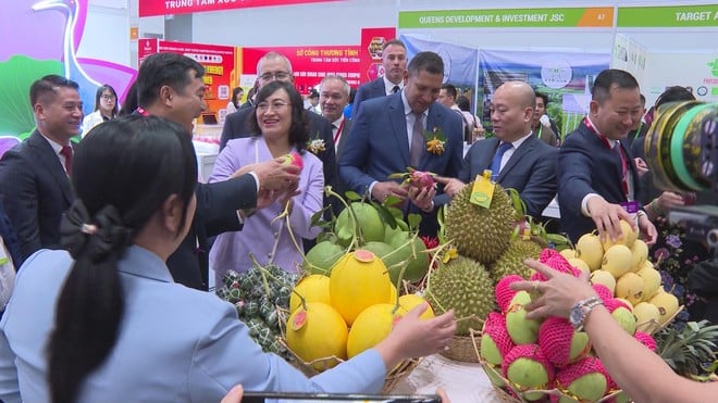 Hơn 500 gian hàng quy tụ tại Vietnam Foodexpo 2025- Ảnh 3.