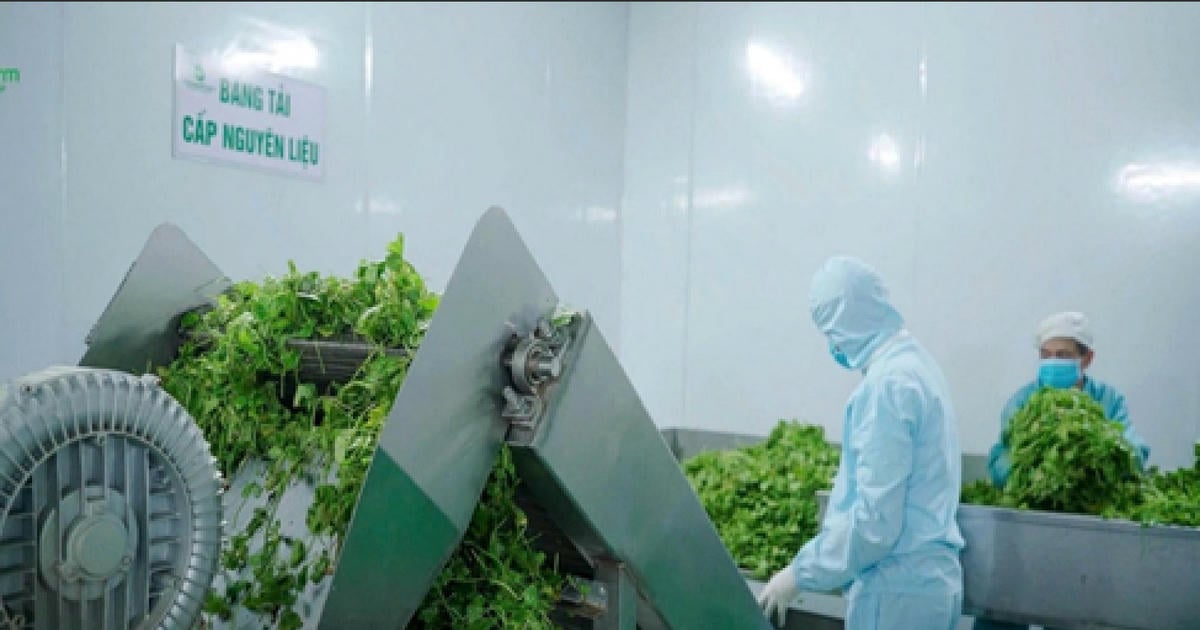 Nông sản sạch: Từ trang trại đến bàn ăn - Bài 2: Xây dựng chuỗi liên kết bền vững, khẳng định uy tín, thương hiệu nông sản Việt