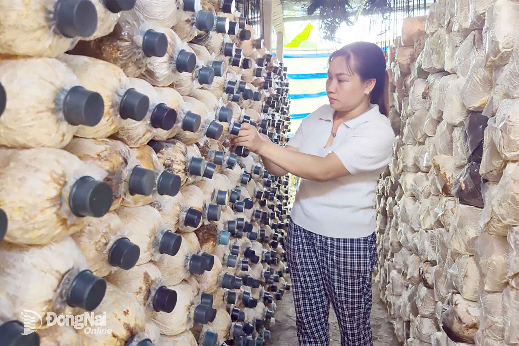 Vì một Đồng Xoài văn minh, sinh thái, nghĩa tình