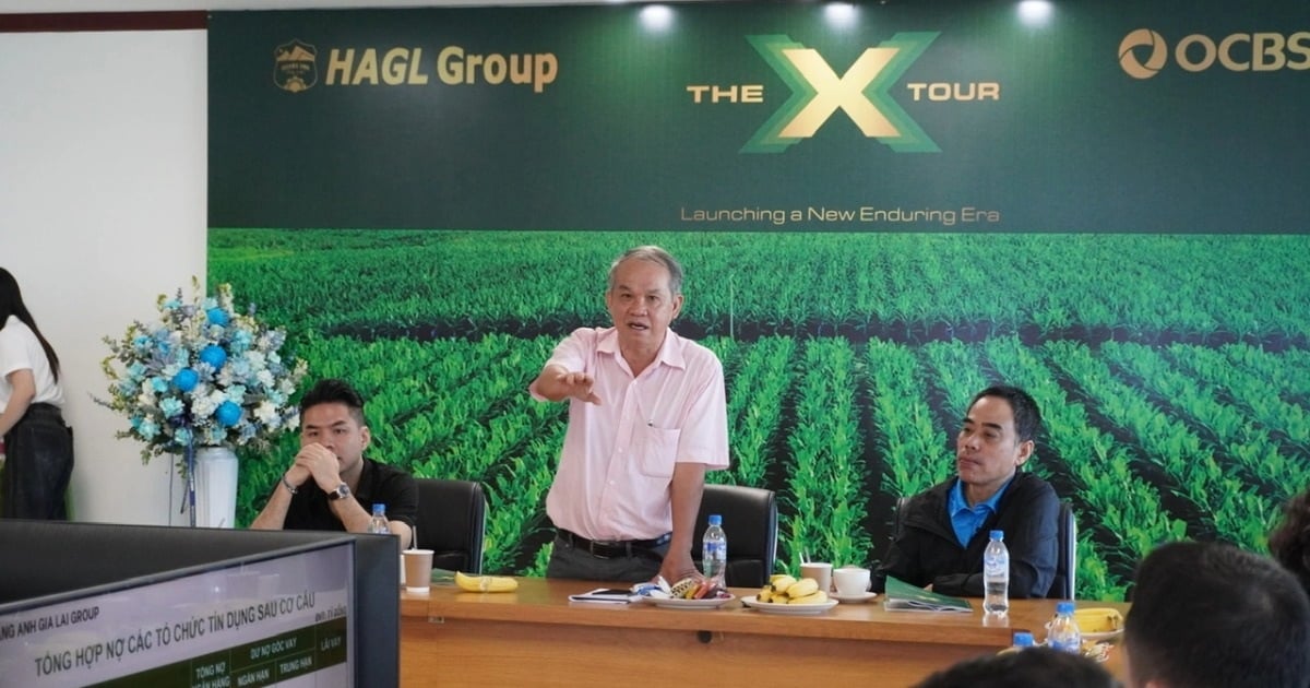 Bầu Đức: Dâu tằm có thể vượt chuối, thành mảng thu chính của HAGL