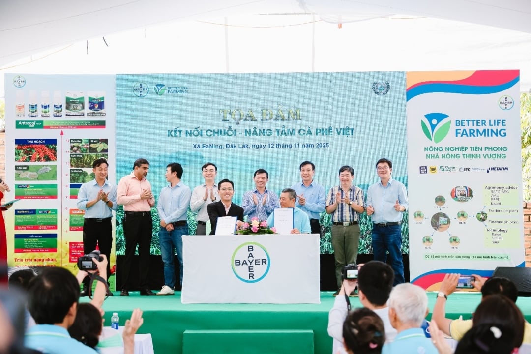 Bayer Vietnam și 721 Coffee Company Limited au semnat un memorandum de înțelegere pentru a asigura o producție stabilă pentru produsele agricole calificate.