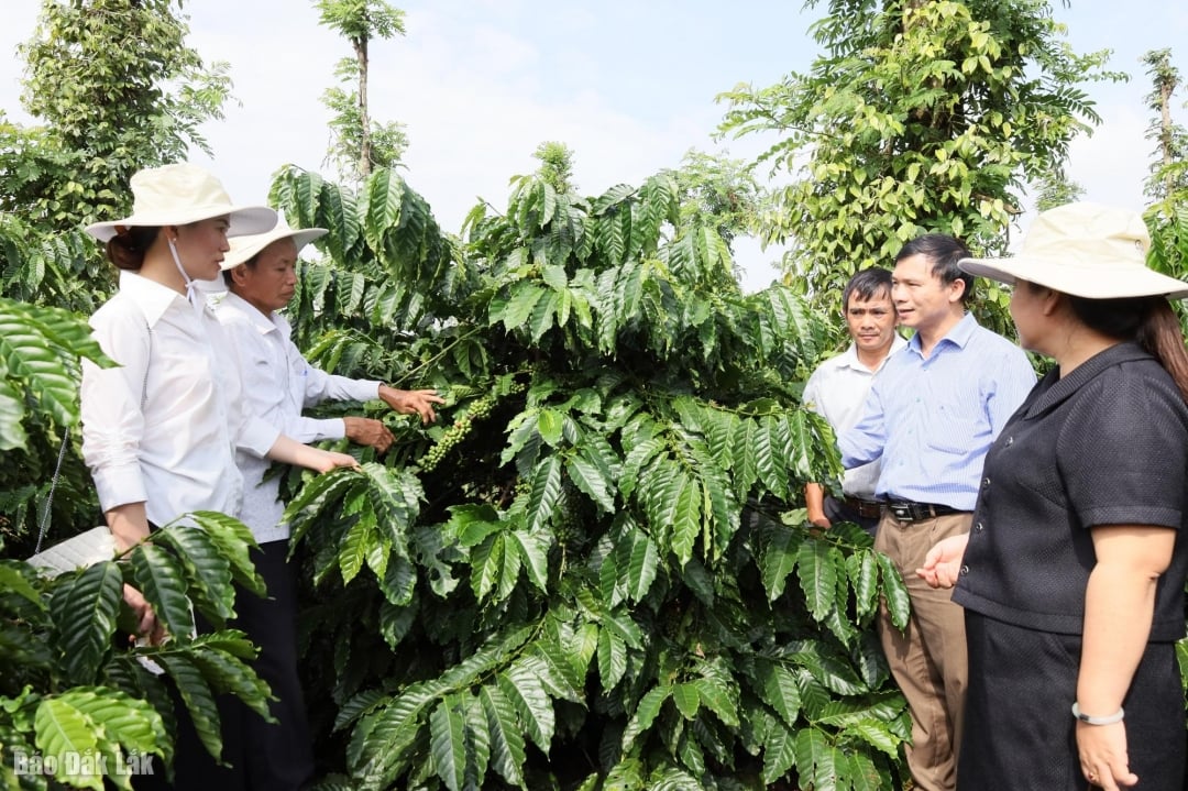 Pentru o extindere sustenabilă la nivel global, conectivitatea în lanț este o viziune strategică inevitabilă.