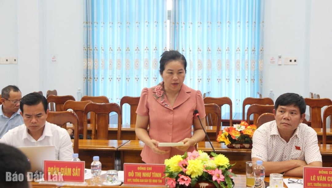 Trưởng Ban Dân tộc HĐND tỉnh Đỗ Thị Như Tình phát biểu tại buổi giám sát.