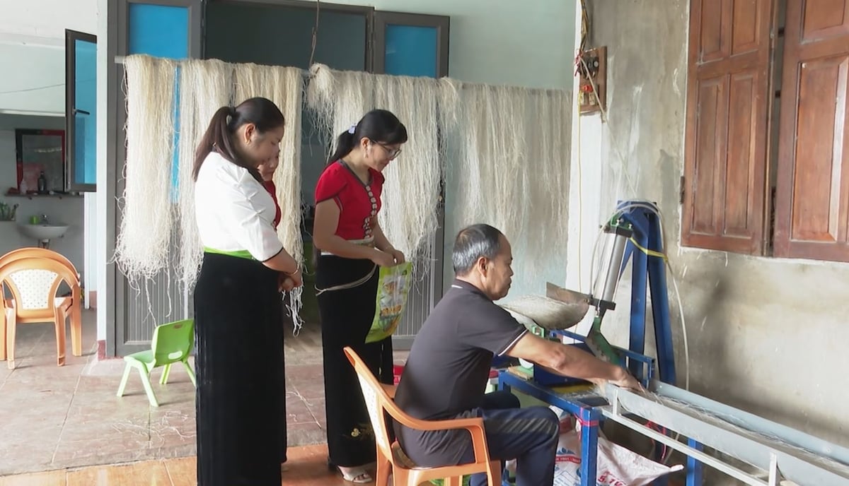 Everyone wants to see the vermicelli production process with their own eyes. Photo: Duc Binh. Ai cũng muốn được tận mắt chứng thấy quy trình sản xuất miến dong. Ảnh: Đức Bình.