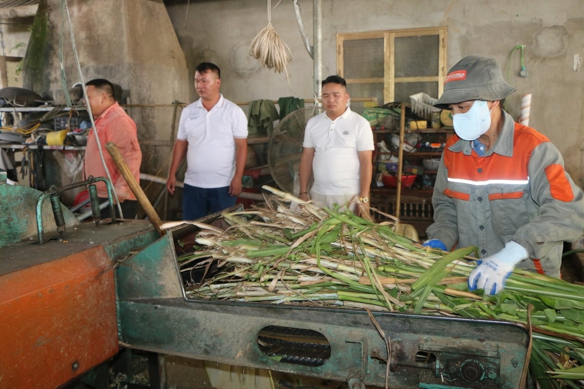 សហករណ៍នេះបានបង្កើតការងារដល់កម្មករក្នុងស្រុកជាច្រើនដើម្បីរួចផុតពីភាពក្រីក្រ។ រូបថត៖ Thanh Nga។