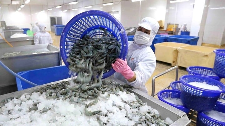 Sjömatsbearbetning är hårt arbete. (Foto: B.L)