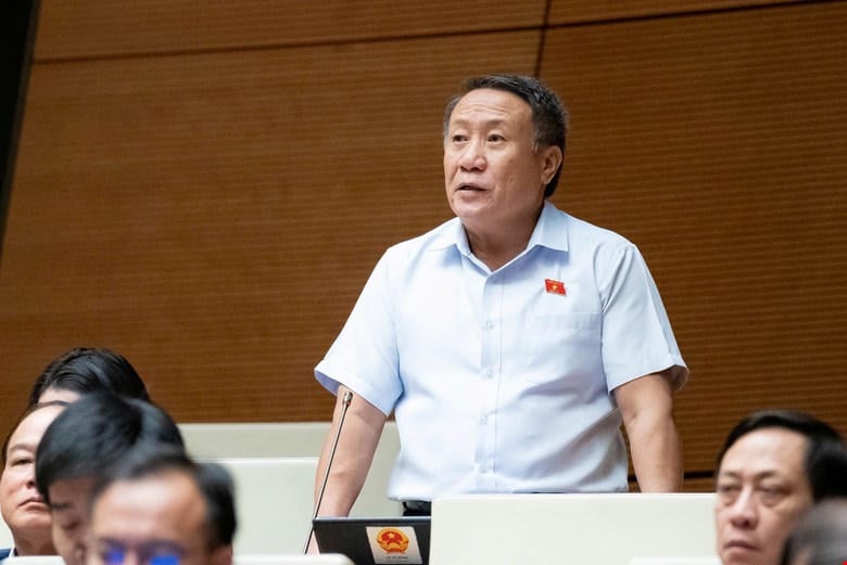 លោក Ha Sy Dong ថ្លែងមតិ (រូបថត៖ Quang Vinh)