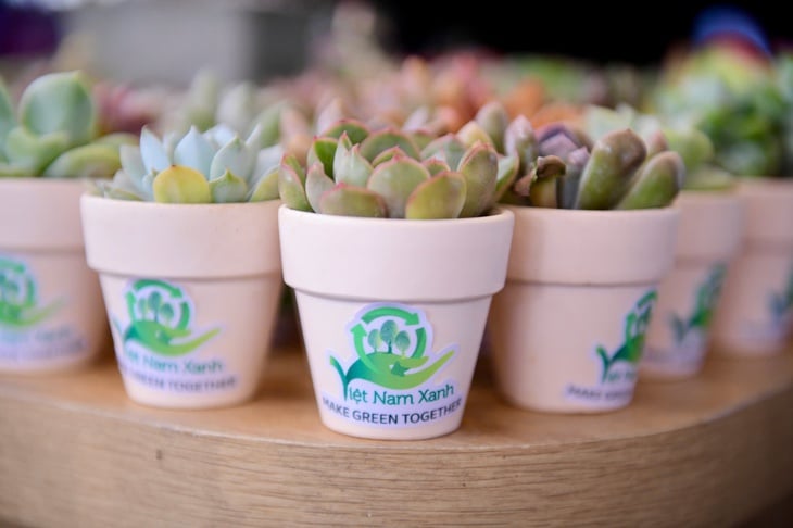 Việt Nam Xanh - Ảnh 4.