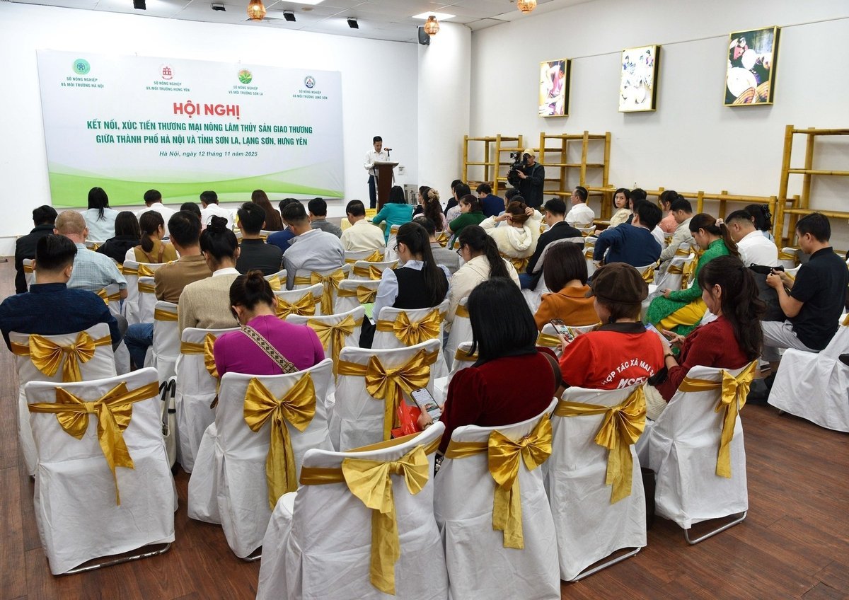 Översikt över konferensen. Foto: Thao Nguyen.