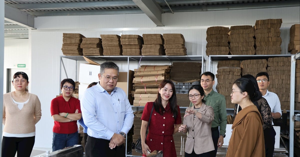 Khảo sát chính sách công nghệ cao tại Lâm Đồng