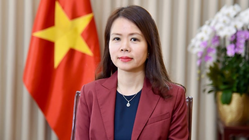 उप विदेश मंत्री गुयेन मिन्ह हांग। (फोटो: वर्ल्ड एंड वियतनाम न्यूज़पेपर)