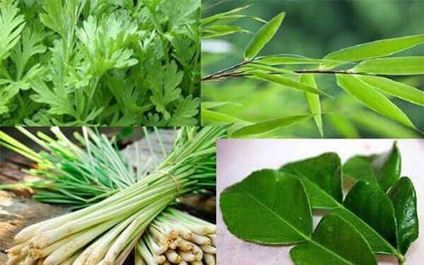 Các phương pháp y học cổ truyền giúp phòng chống cúm A- Ảnh 2.