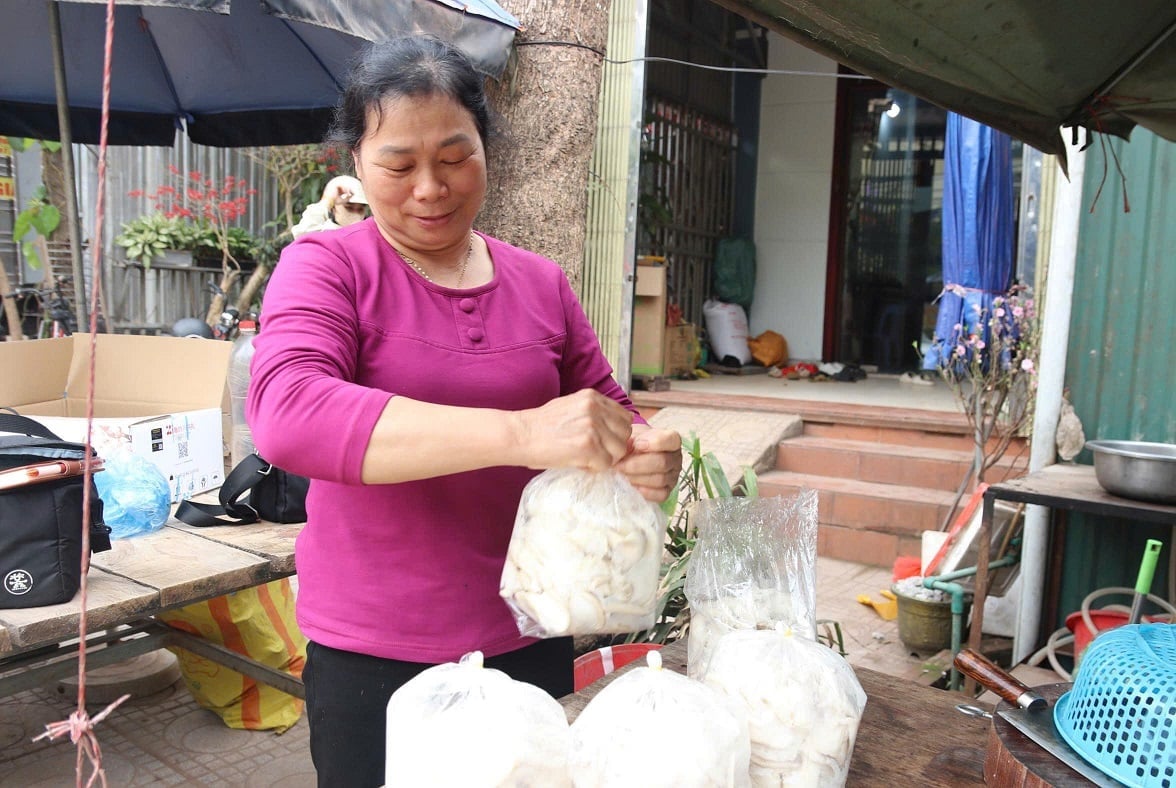 السيدة سينه تُعبّئ كل كيس من فطر المحار الطازج - وهي مهمة مألوفة لديها منذ سنوات طويلة في هذه المهنة. تصوير: هوانغ نغيا.