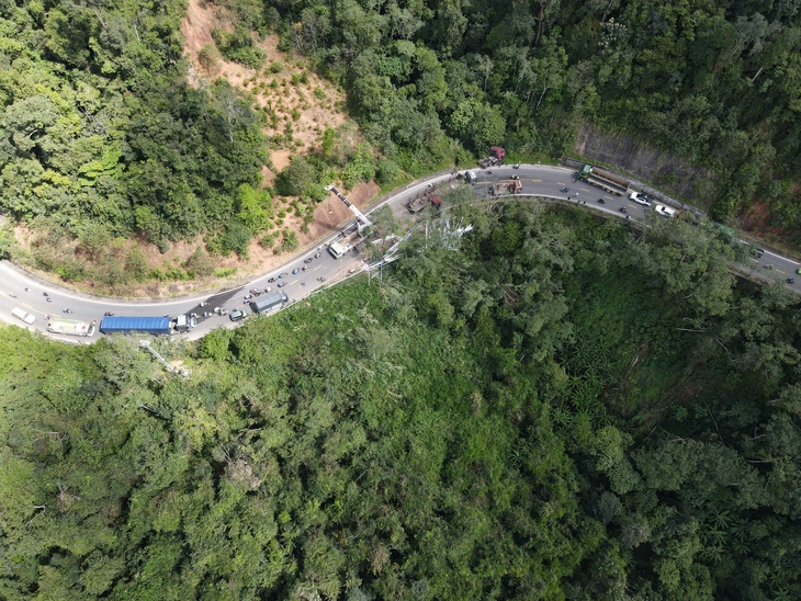 măng đen - Ảnh 1.