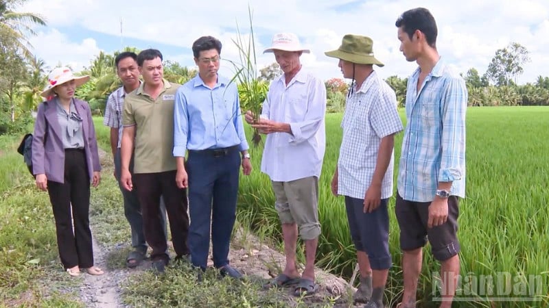 Vetenskap och teknik bidrar till att förbättra produktiviteten, gå mot ett grönt jordbruk och anpassa sig till klimatet.