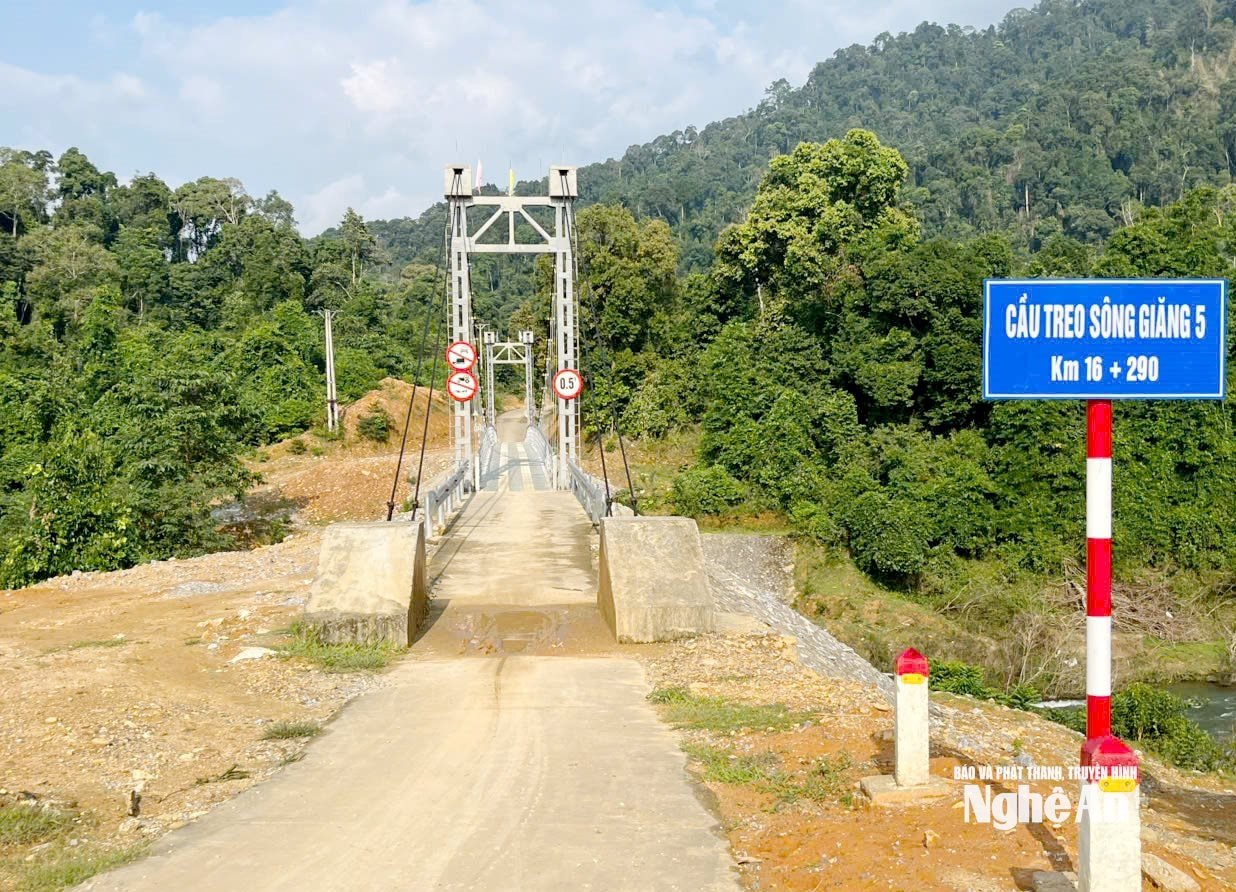 ដើមគរព្យួរចំនួន១