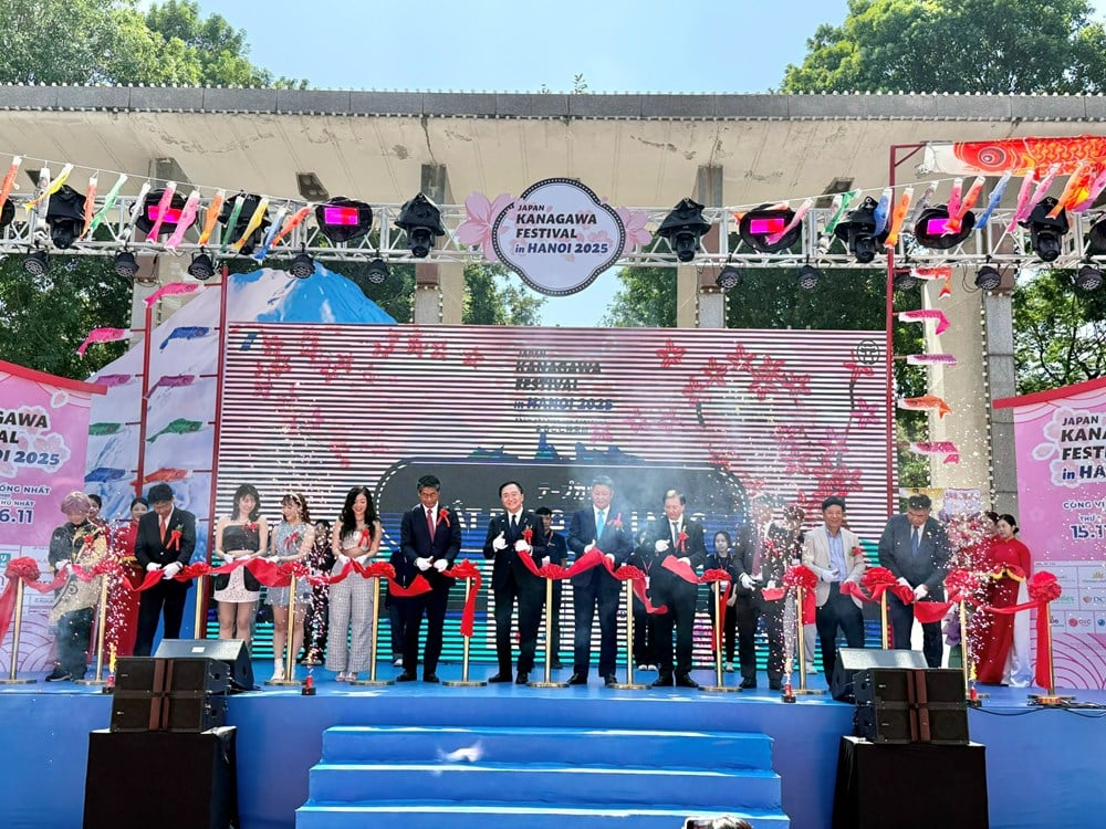 वियतनाम - जापान सांस्कृतिक पुल - फोटो 4