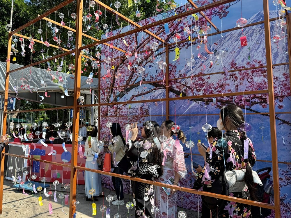 वियतनाम - जापान सांस्कृतिक पुल - फोटो 7