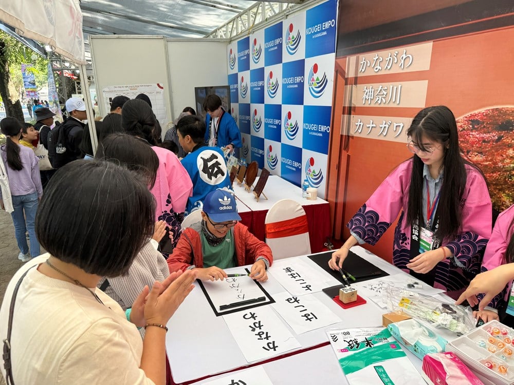 वियतनाम - जापान सांस्कृतिक पुल - फोटो 8