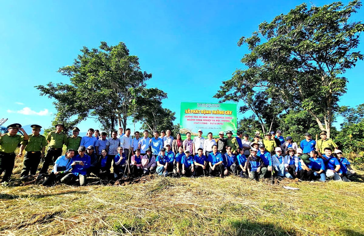 ພິທີເປີດງານໄດ້ດຶງດູດຫຼາຍຫົວໜ່ວຍພາຍໃຕ້ພະແນກ ພ້ອມດ້ວຍສະມາຊິກສະຫະພັນກຳມະບານ ແລະ ເຍົາວະຊົນຂັ້ນຮາກຖານ 50 ຄົນເຂົ້າຮ່ວມ. ພາບ: KS. Lễ phát động thu hút đông đảo các đơn vị trực thuộc Sở cùng với 50 đoàn viên, thanh niên cơ sở tham gia. Ảnh: KS.