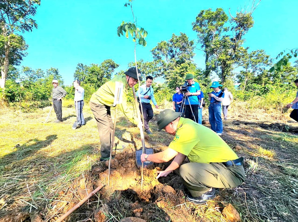 ການນຳກົມຄຸ້ມຄອງປ່າສະຫງວນ ແຄ໋ງຮ່ວາ ປູກຕົ້ນໄມ້. ພາບ: KS. Lãnh đạo Chi cục Kiểm lâm Khánh Hòa trồng cây. Ảnh: KS.