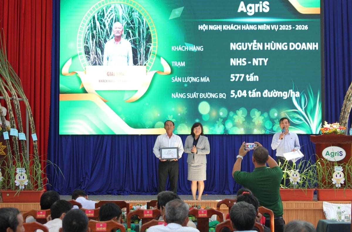 AgriS Ninh Hoa ផ្តល់រង្វាន់ដល់អ្នកដាំអំពៅជាមួយនឹងទិន្នផលធំ ផលិតភាពខ្ពស់ ផ្ទៃដីធំ និងការប្រើប្រាស់គ្រឿងចក្រក្នុងផលិតកម្ម។ រូបថត៖ ភួងជី។ AgriS Ninh Hòa khen thưởng các hộ trồng mía có sản lượng lớn, năng suất cao, diện tích lớn, ứng dụng máy móc vào sản xuất. Ảnh: Phương Chi.