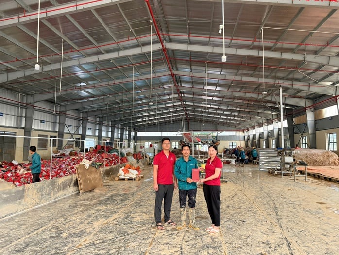 בנקים רבים מפחיתים את הריביות כדי לתמוך בלקוחות המתאוששים מסופות ושיטפונות - תמונה 2. Nhiều ngân hàng giảm lãi suất hỗ trợ khách hàng phục hồi sau bão lũ - Ảnh 2.