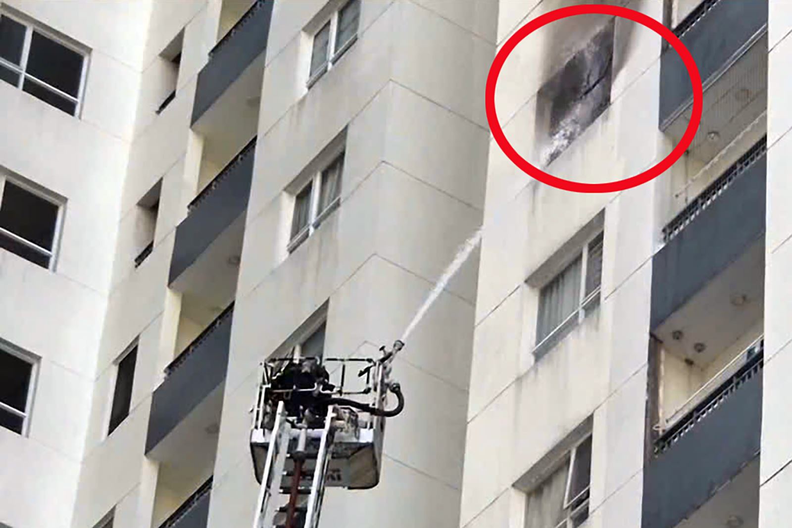 Подпись к фотографии