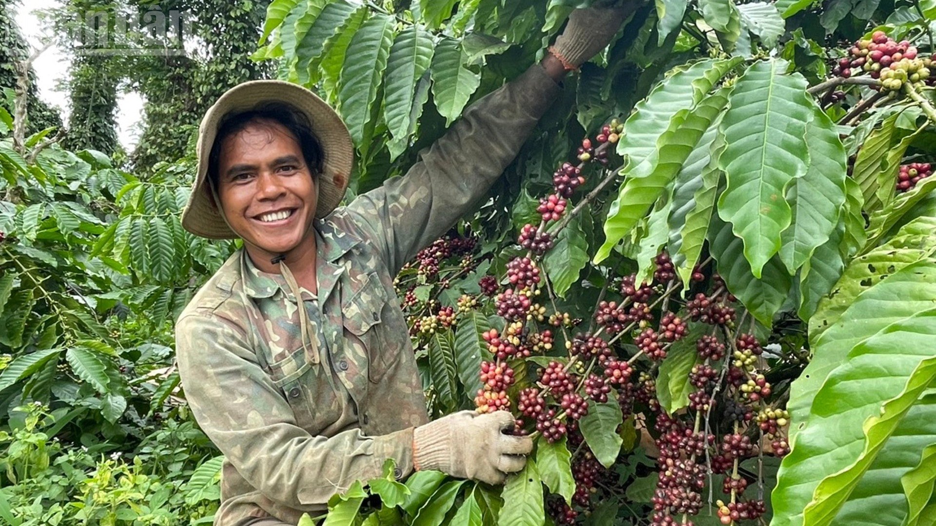 Dak Lak é a ndo_tl_img-0232-2305.jpg