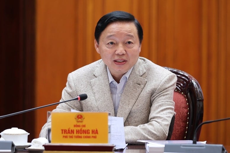 쩐 홍 하 부총리가 회의에서 연설하고 있다.