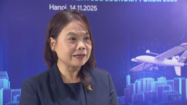 Cơ hội vàng cho ngành kinh tế tầm thấp tại Việt Nam - Ảnh 4.