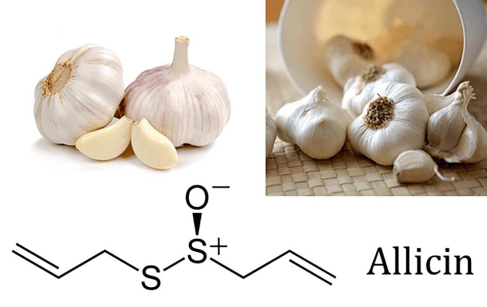 4 cách sử dụng tỏi hỗ trợ điều trị và phòng ngừa cúm A- Ảnh 1.