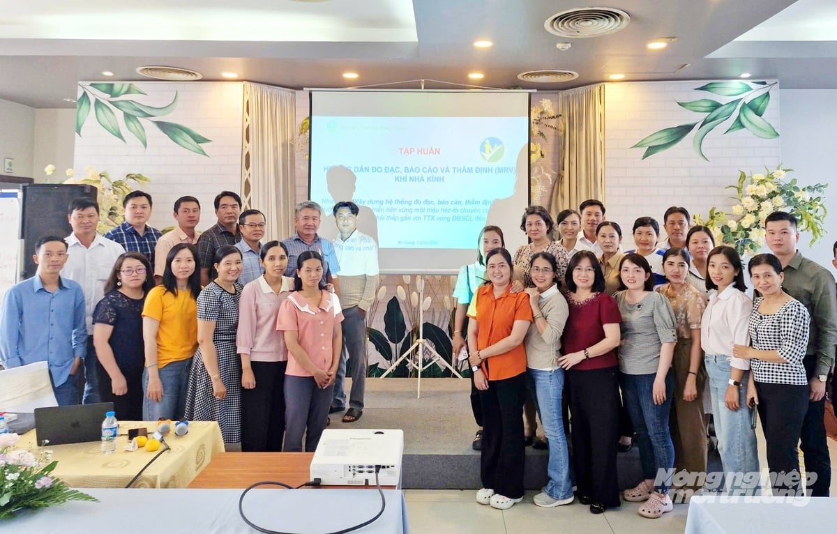 Cursul de formare este destinat 30 de cursanți, care sunt manageri agricoli, tehnicieni, ofițeri de extindere agricolă, membri ai cooperativelor și lucrători comunitari în extindere. Foto: Le Hoang Vu. Lớp tập huấn dành cho 30 học viên là cán bộ quản lý nông nghiệp, kỹ thuật viên, cán bộ khuyến nông, thành viên HTX và khuyến nông cộng đồng. Ảnh: Lê Hoàng Vũ.