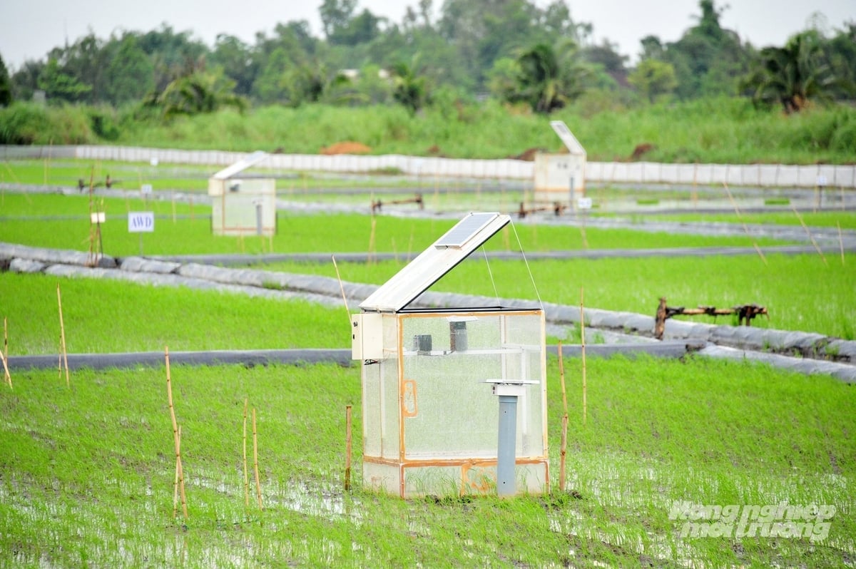 Instruirea MRV în An Giang este o etapă importantă de pregătire pentru personal și cooperative pentru a înțelege cerințele tehnice înainte de implementarea la scară largă. Foto: Le Hoang Vu. Việc tập huấn MRV tại An Giang là bước chuẩn bị quan trọng để đội ngũ cán bộ và HTX nắm chắc yêu cầu kỹ thuật trước khi triển khai trên quy mô lớn. Ảnh: Lê Hoàng Vũ.