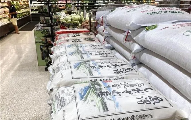 Arroz japonês à venda em um supermercado. (Foto: Kyodo/VNA) Gạo Nhật Bản được bày bán tại siêu thị. (Ảnh: Kyodo/TTXVN)
