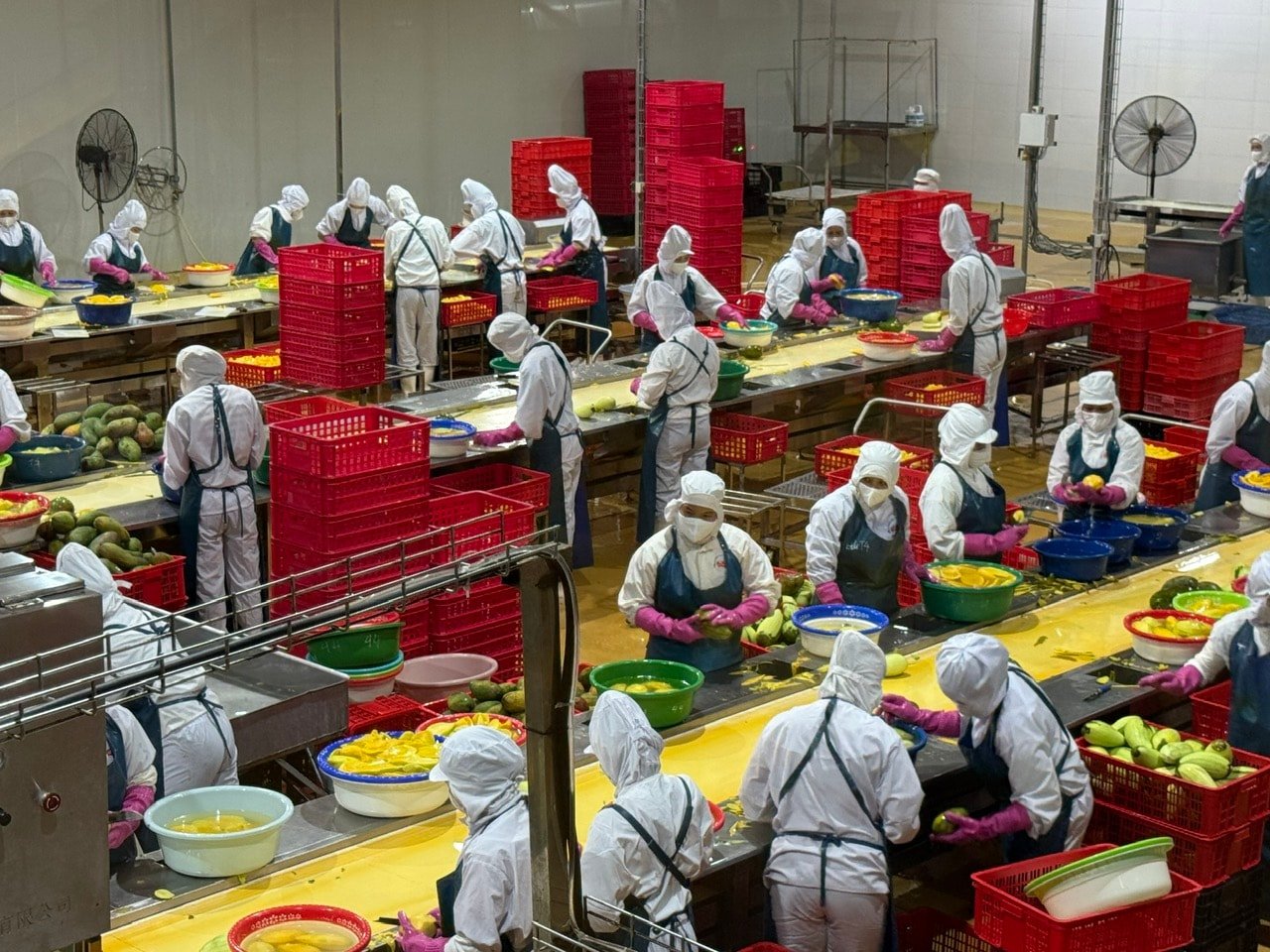 Sciences agricoles : du laboratoire au terrain - Photo 1. Khoa học nông nghiệp: Từ phòng thí nghiệm đến cánh đồng- Ảnh 1.