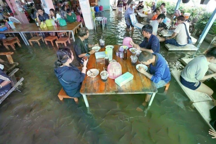 يستمتع رواد مطعم با جيت بتناول وجبتهم بينما تسبح الأسماك في نهر ثا تشين الفائض (تايلاند). الصورة: أسوشيتد برس.