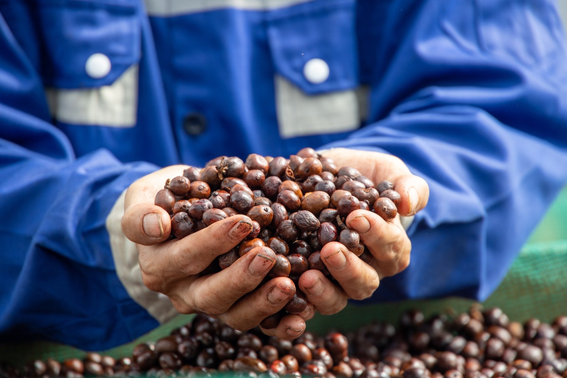 Kaffepriser i dag 16. november: Salgspresset har ikke stoppet