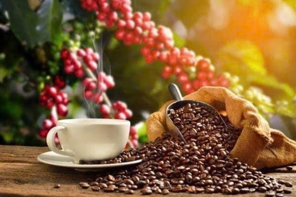 Koffieprijzen vandaag 11/16/2025 in het land en de wereld laatste Giá cà phê hôm nay 16/11/2025 ở trong nước và thế giới mới nhất