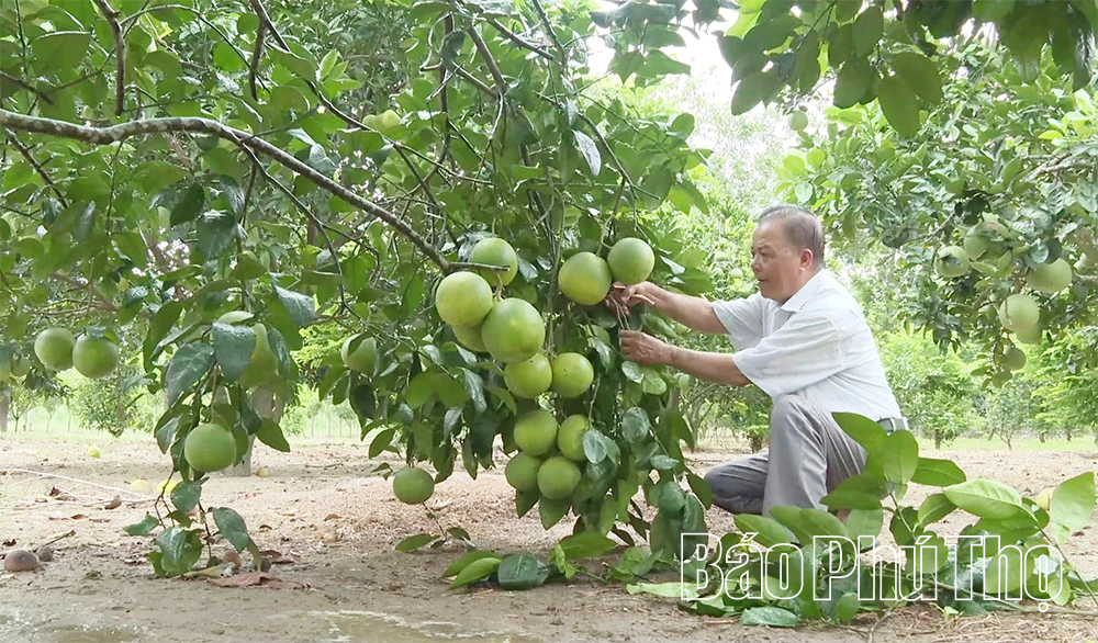Гарні приклади успішного ведення бізнесу серед людей похилого віку