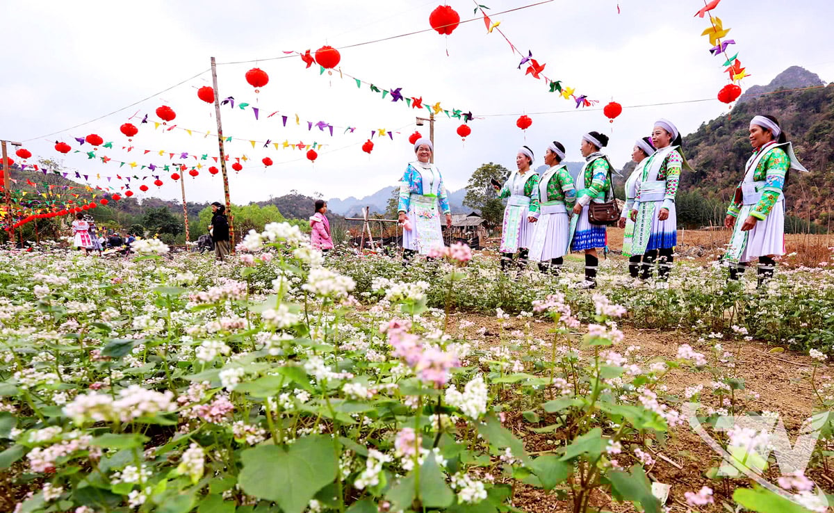 Under senare år har medvetenheten om jämställdhet gradvis förändrats, vilket har bidragit till att förbättra kvinnors livskvalitet i byn Lan Quan (kommunen Quang Son).